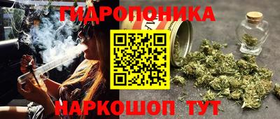 ECSTASY Будённовск